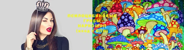 ПСИЛОЦИБИНОВЫЕ ГРИБЫ Коряжма