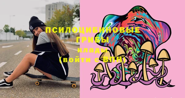 тгк Костерёво