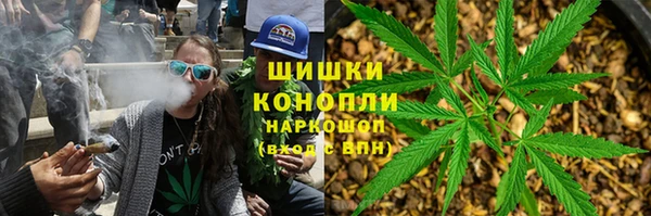 молекула духа Коряжма