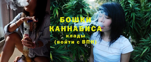 молекула духа Коряжма