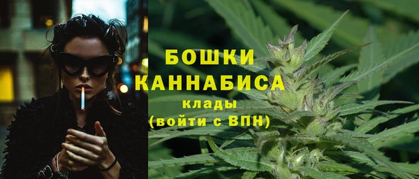 молекула духа Коряжма