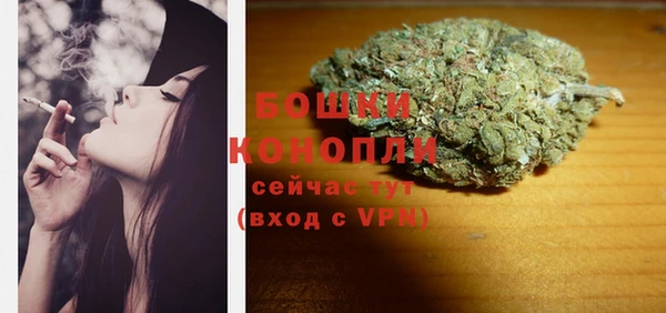молекула духа Коряжма