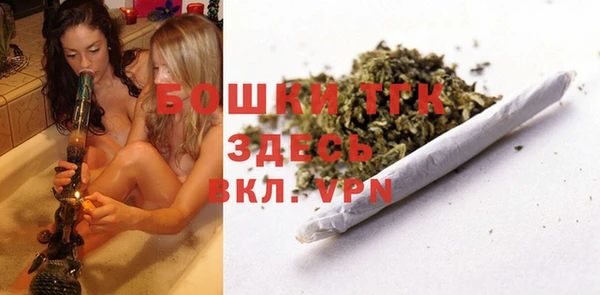 молекула духа Коряжма