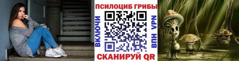 Псилоцибиновые грибы GOLDEN TEACHER  где продают   Долгопрудный 