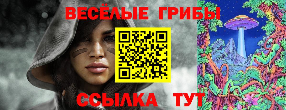 Галлюциногенные грибы Magic Shrooms  что такое наркотик  Галлюциногенные грибы Psilocybe  Долгопрудный  Вход с VPN 