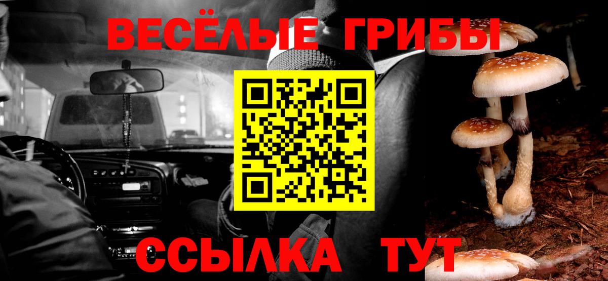 Псилоцибиновые грибы Cubensis Долгопрудный