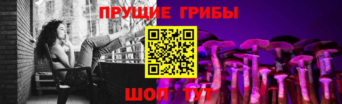 Псилоцибиновые грибы Magic Shrooms  закладка  Долгопрудный 